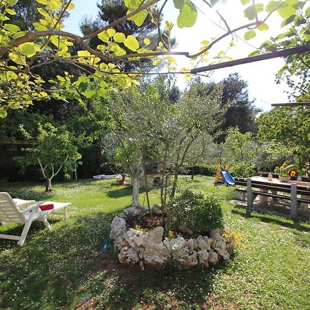 Modern Apartment Sabina With Nice Garden 波雷奇 外观 照片